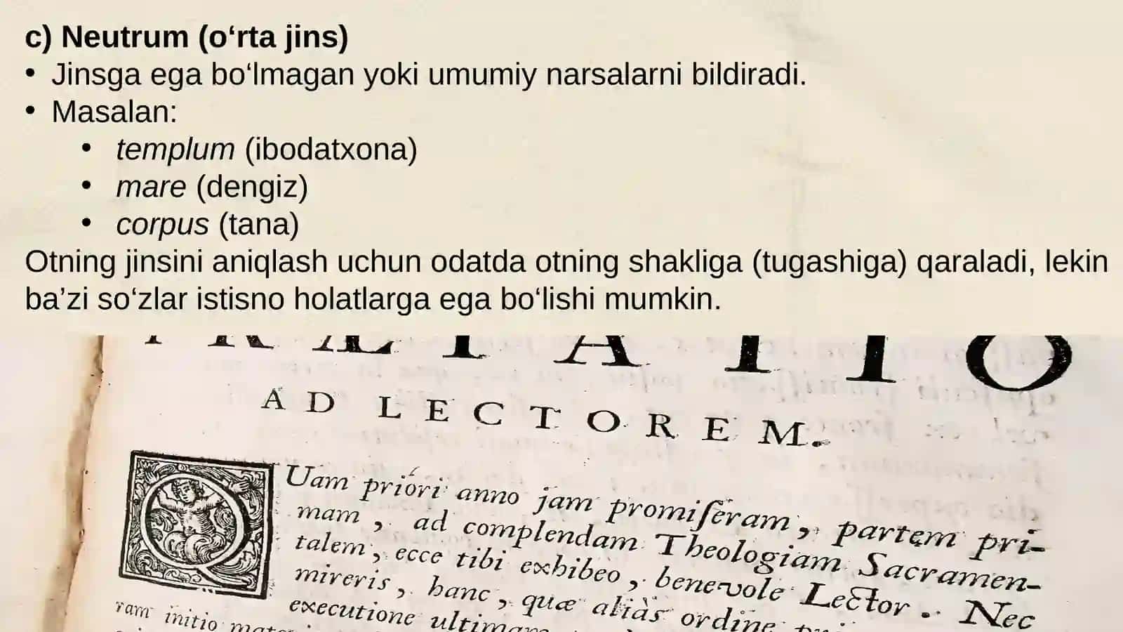 otning grammatik kategoriyalari 3