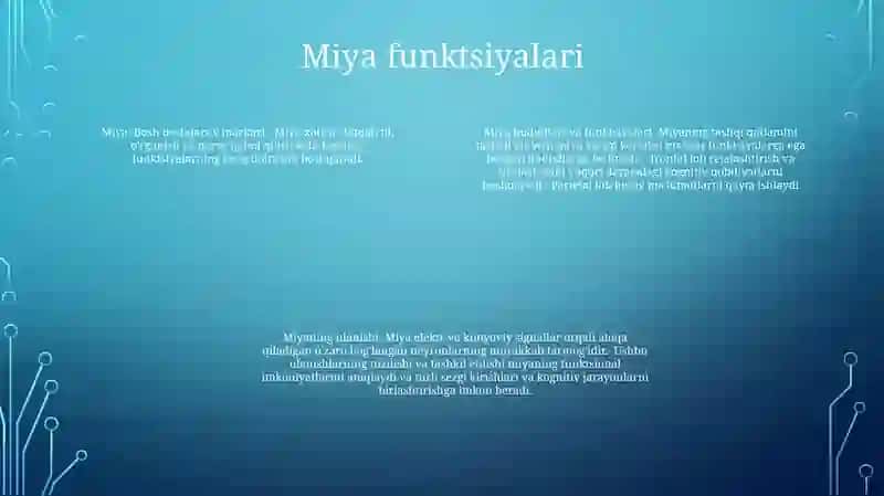 Miya (Brain) 3