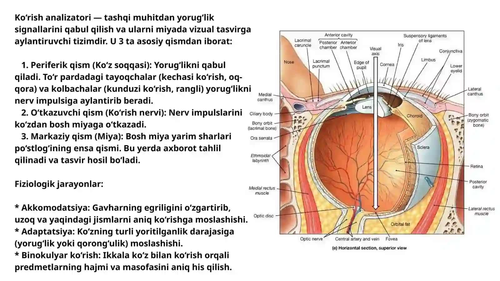 Analizatorlar 3