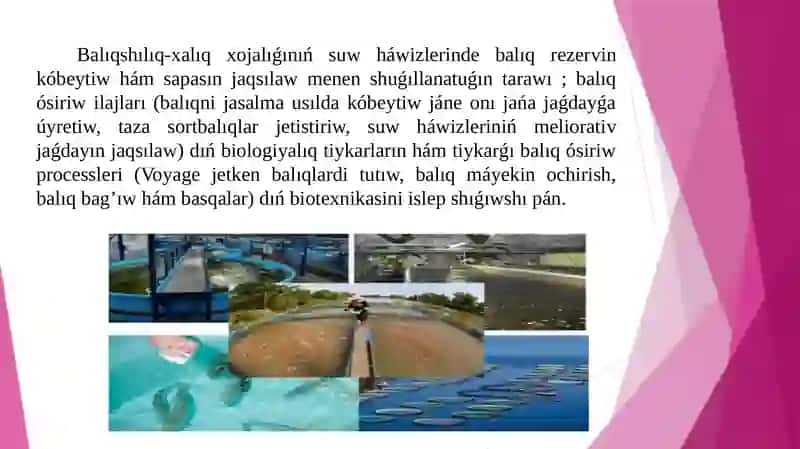 Balıqshılıq 3