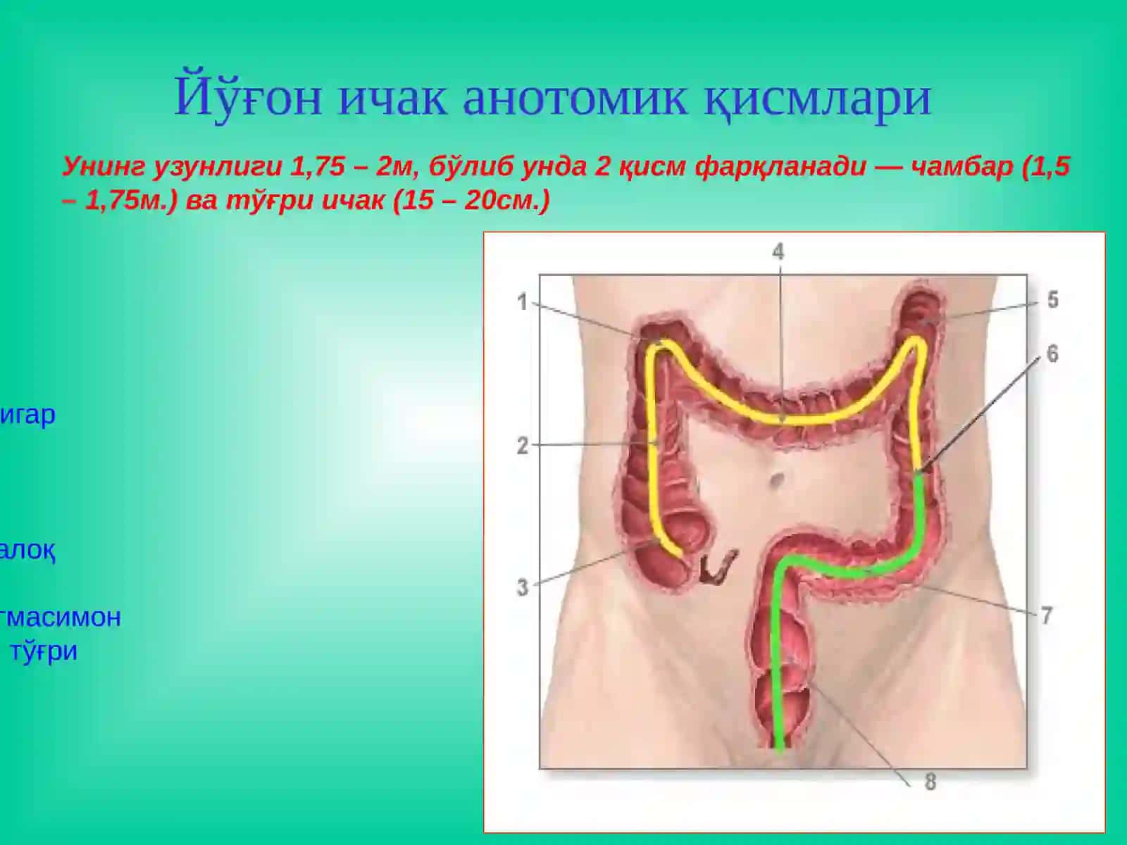 Тиббиёт фанлари доктори 3