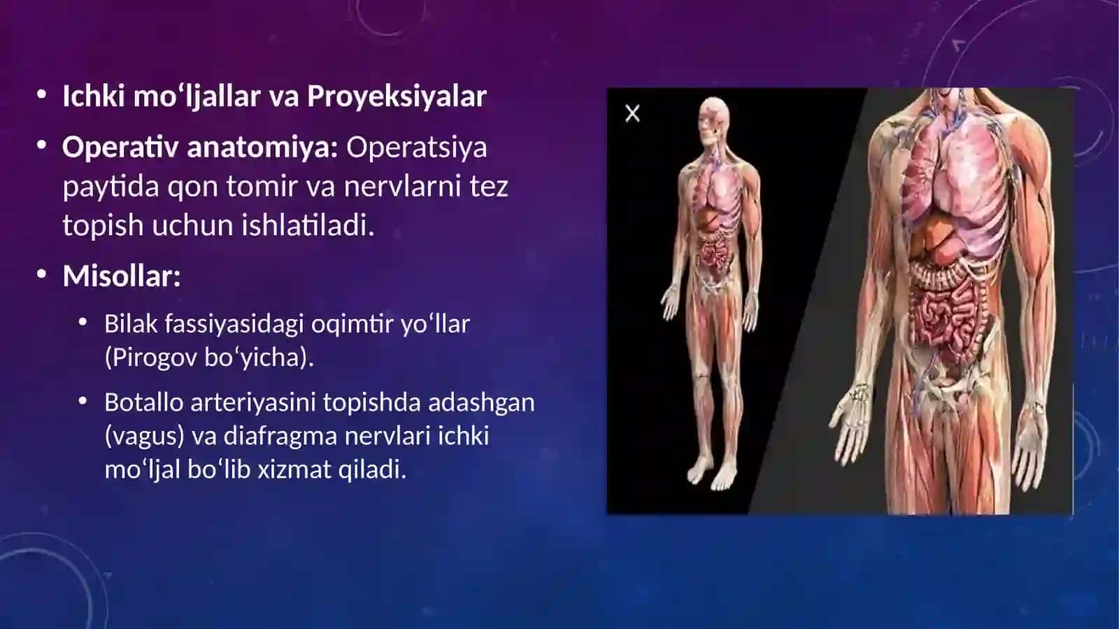 Klinik anatomiya va tana tuzilishining asosiy qonuniyatlari 3