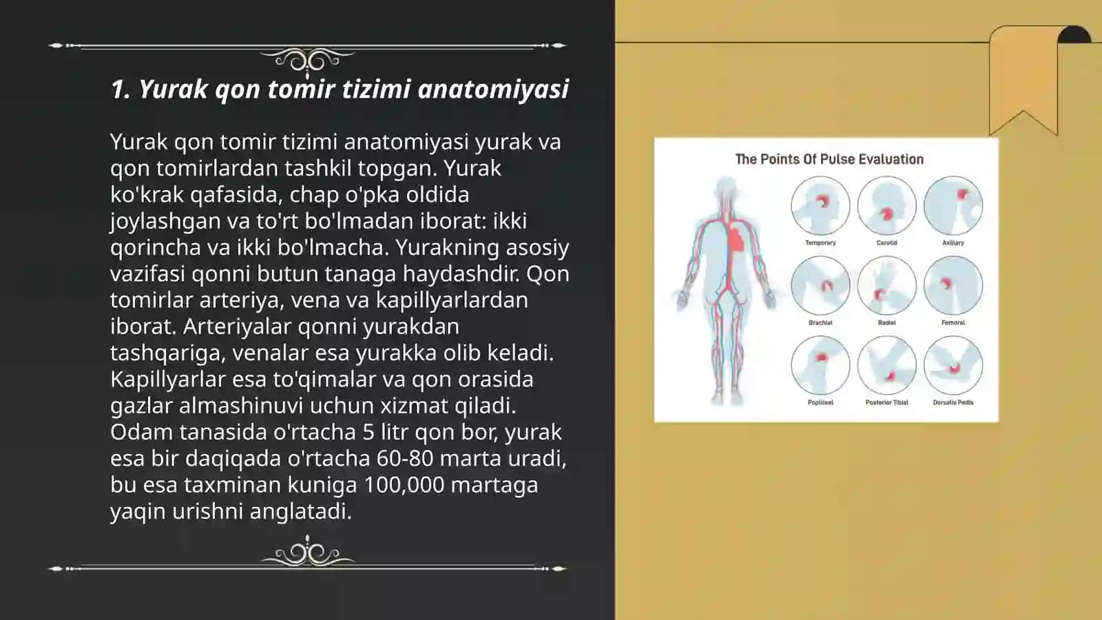 Yurak qon tomir tizimini baxolash uchun funksional sinamalar 3