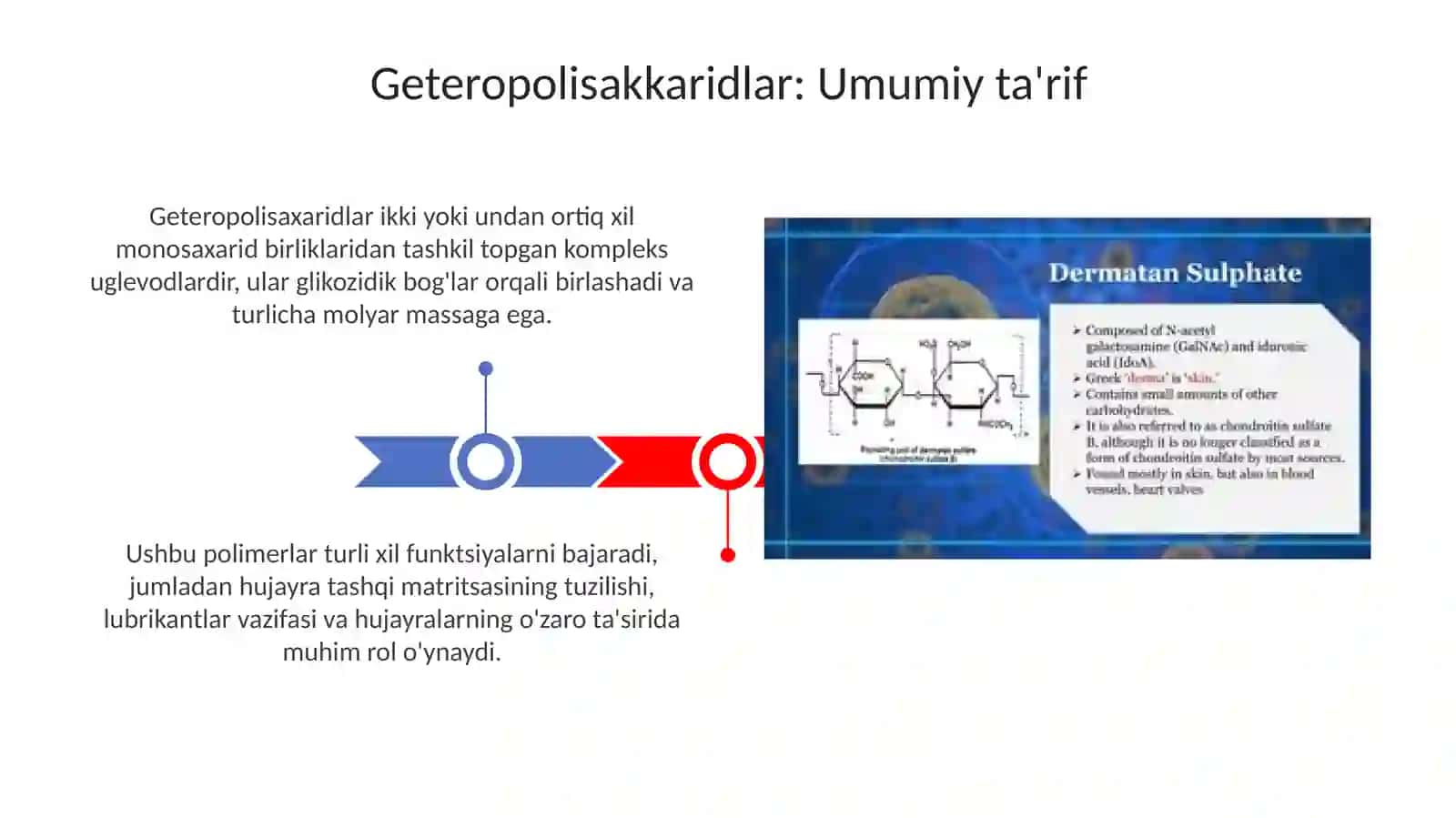 Geteropolisakkaridlar 3