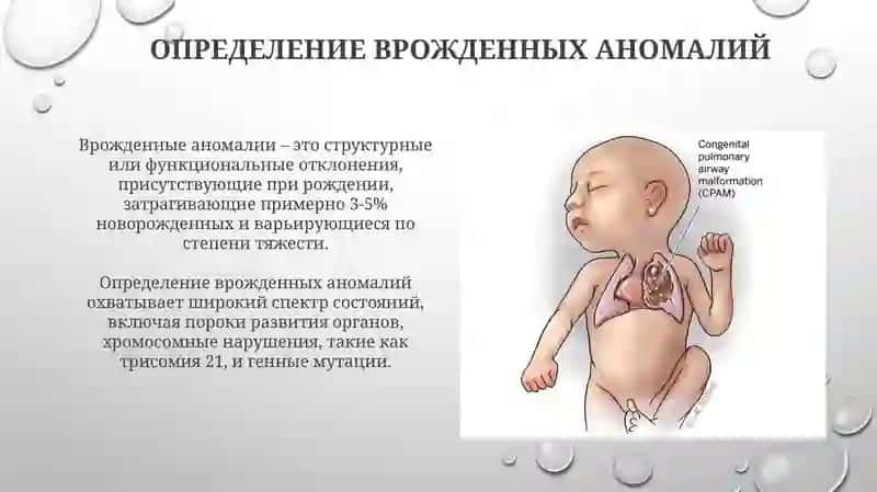 Лечебное дело 2 3