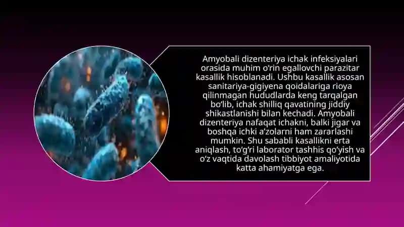 Amyobali dizenteriya 3