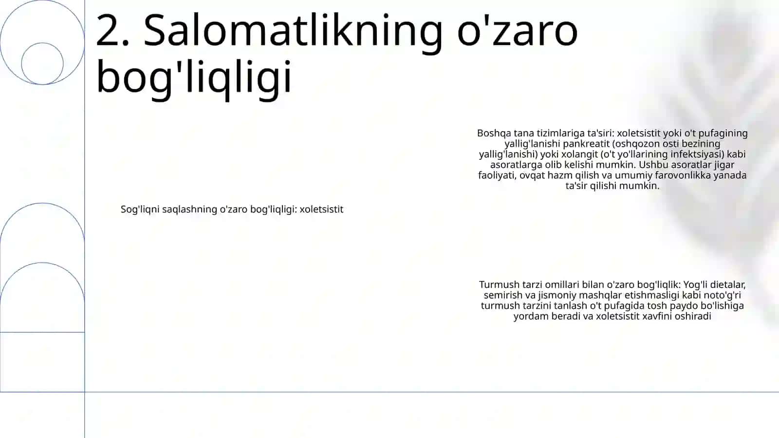 Xolisistit 3