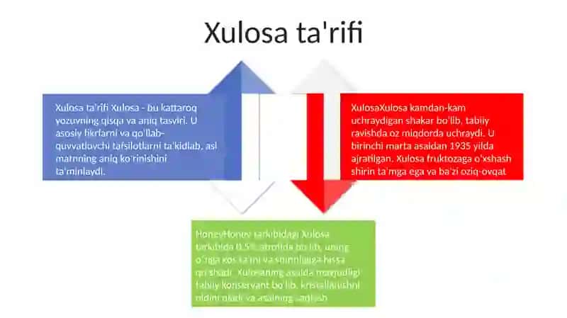 Xulosa 3