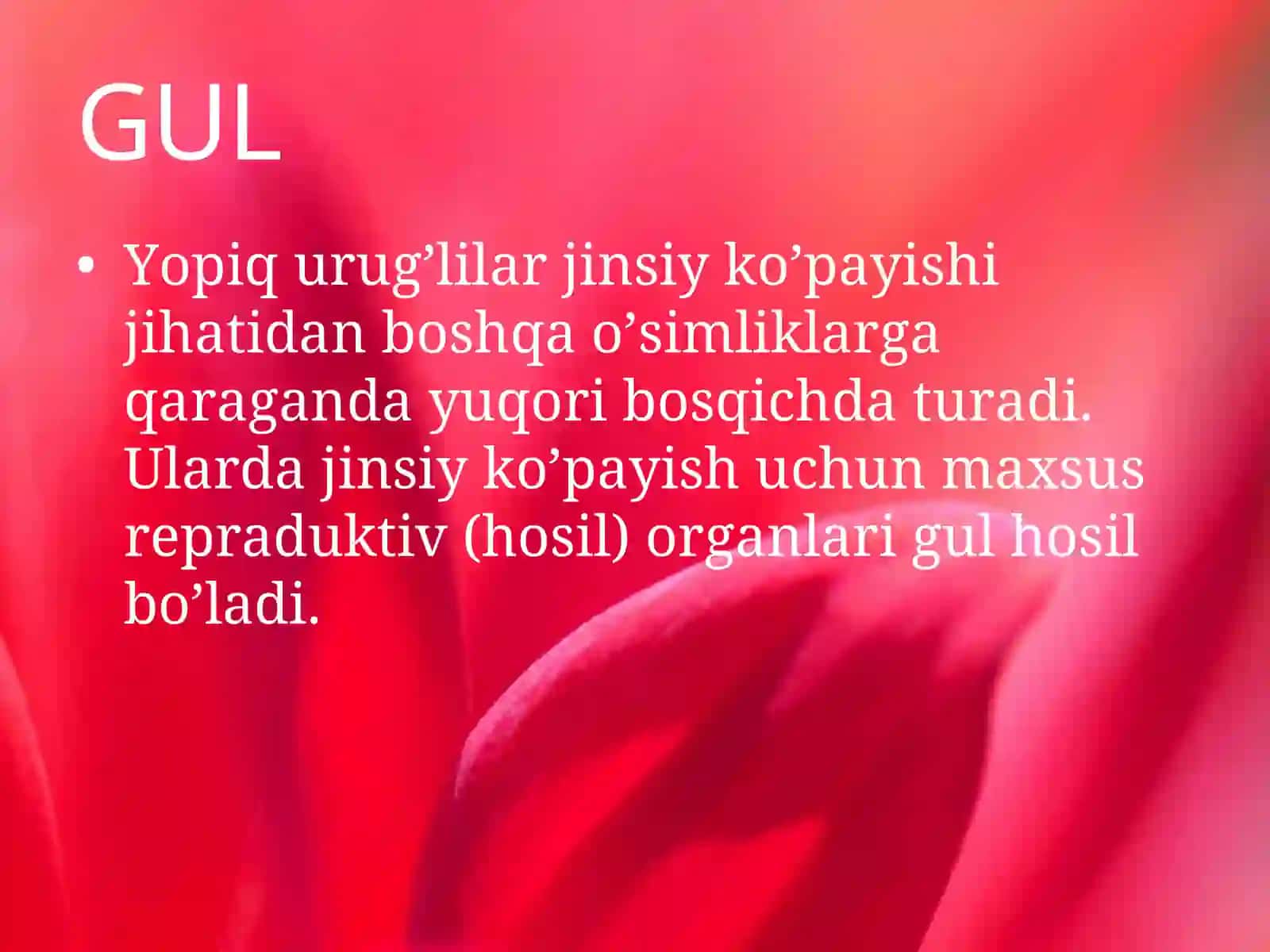 Gul 3