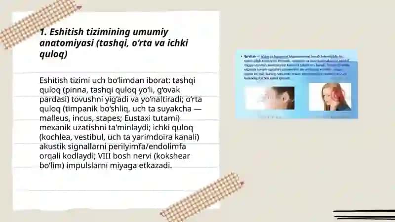Eshitish qobilyatining anatomofiziologik mexanizmi va unda uchraydigan kasalliklar 3