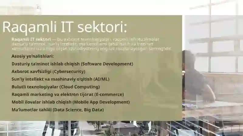 Raqamli IT Sektori 3