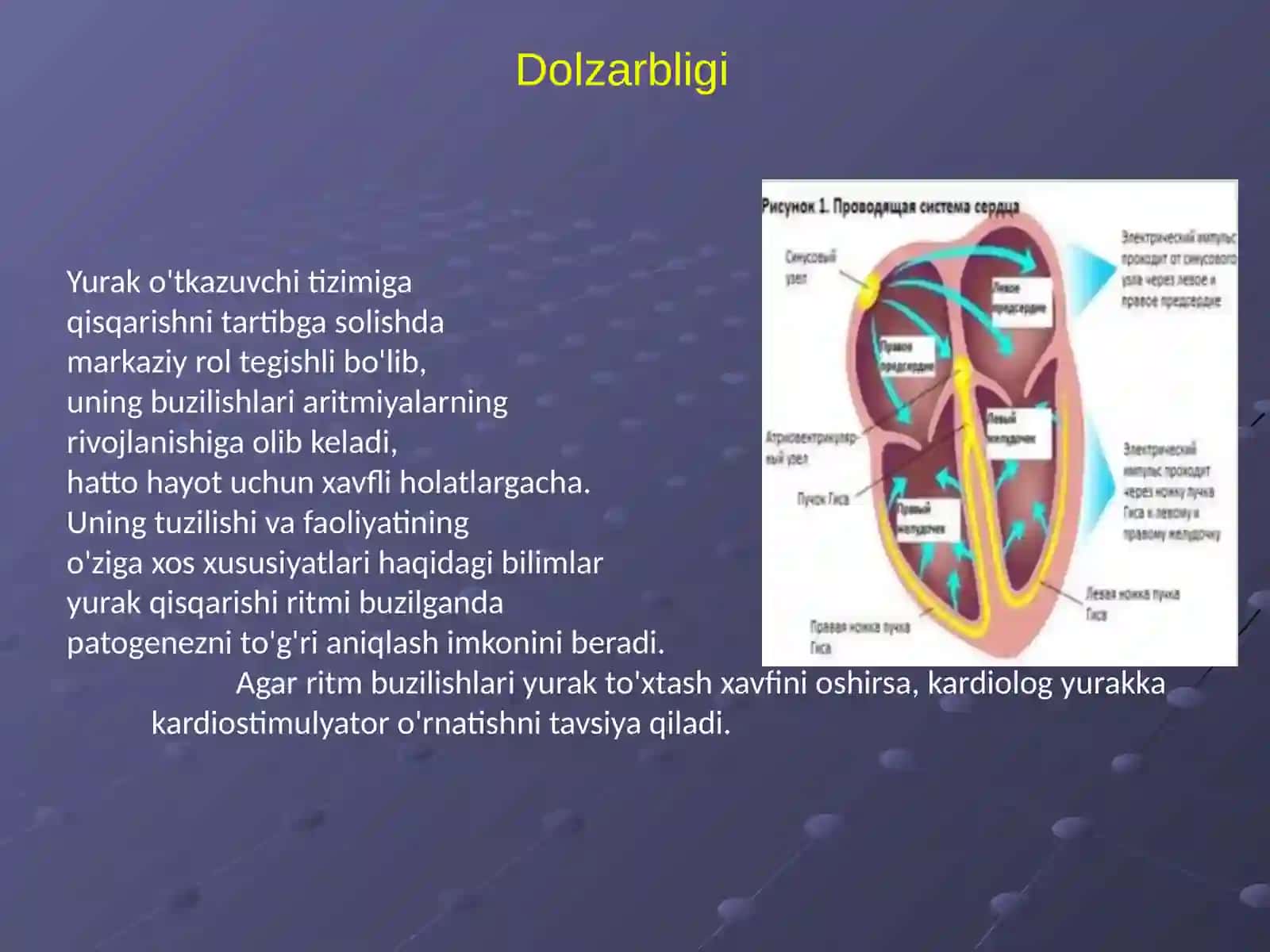 Elektrokardiostimulyatsiya asoslari 3