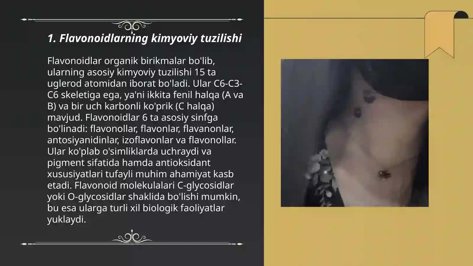 Flavanoid moddalarining asosiy xususiyatlari haqida 3