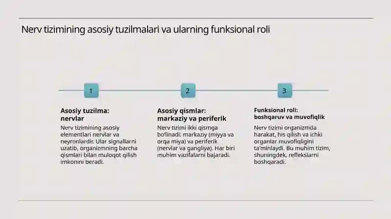 Nerv tizimi 3