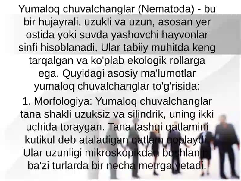 Yumaloq chuvalchanglar 3