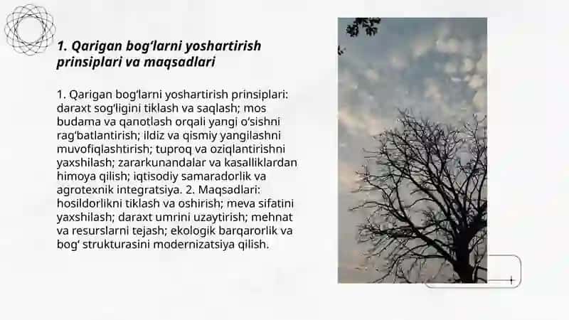 Qarigan bogʻlarni yoshartirish texnologiyasi 3