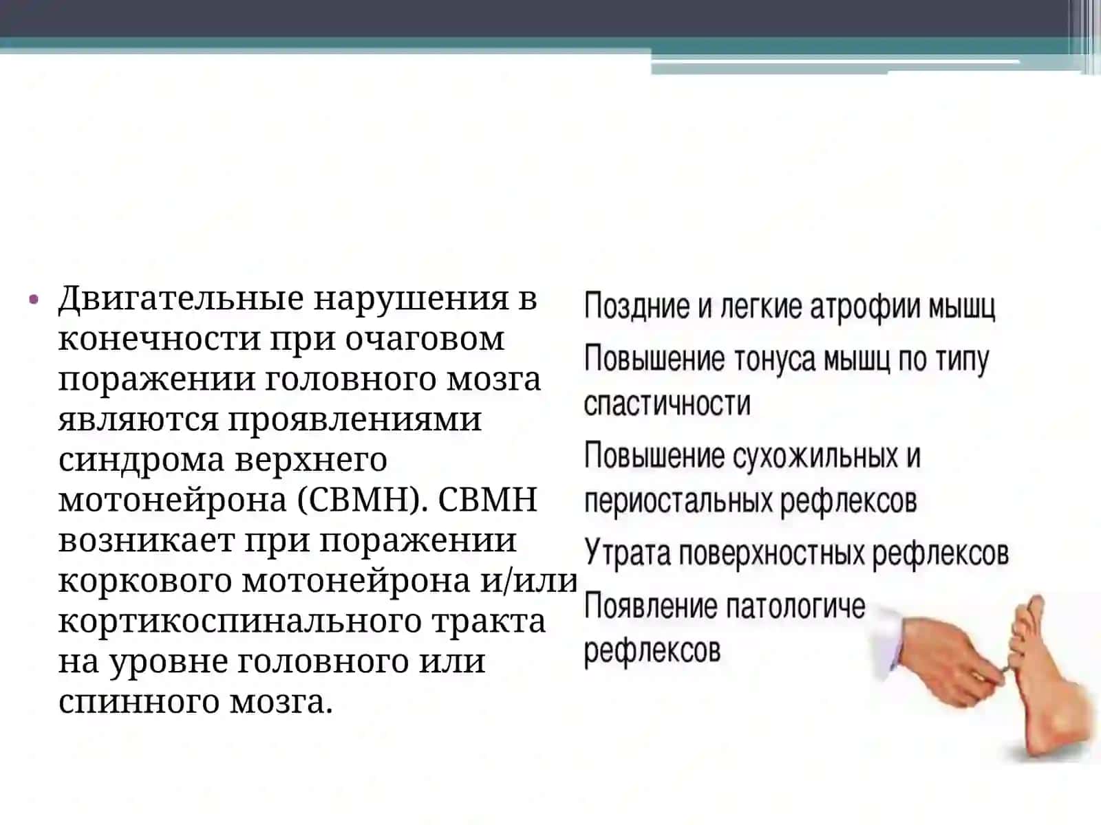 Оьафи и мақсади неврореабилитатсия в ўсновли қудрат руки 3