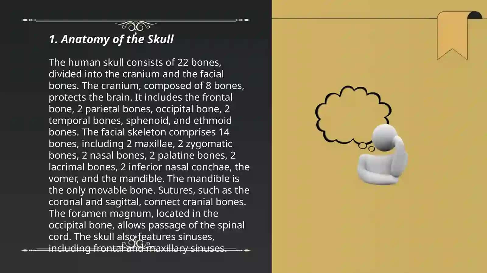 Kalla suyagi(Skull) 3