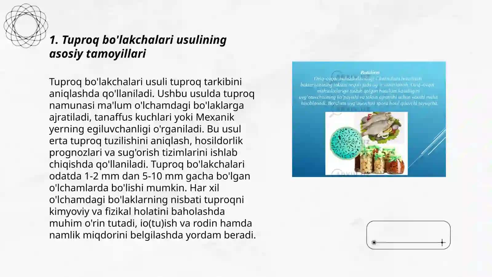 Tuproq Bo‘lakchalari Usulida Azotofiksator Mikroorganizmlarni O‘rganish 3