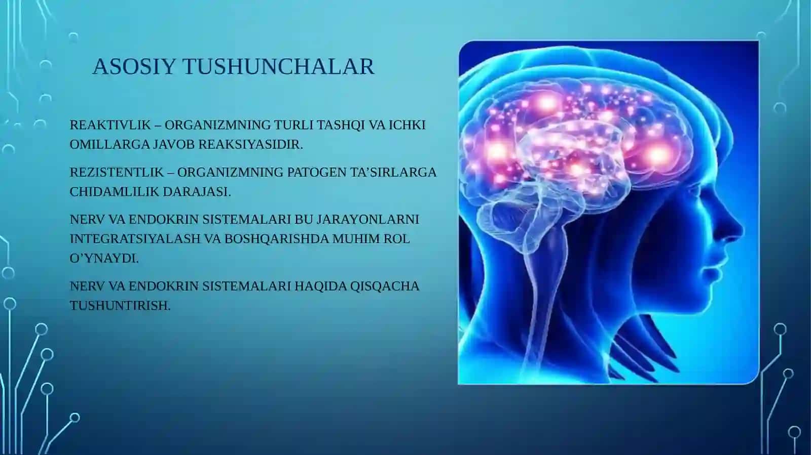 Nerv va endokrin sistemasi reaktivlik va rezistentlikning shakllanishida o’rni 3