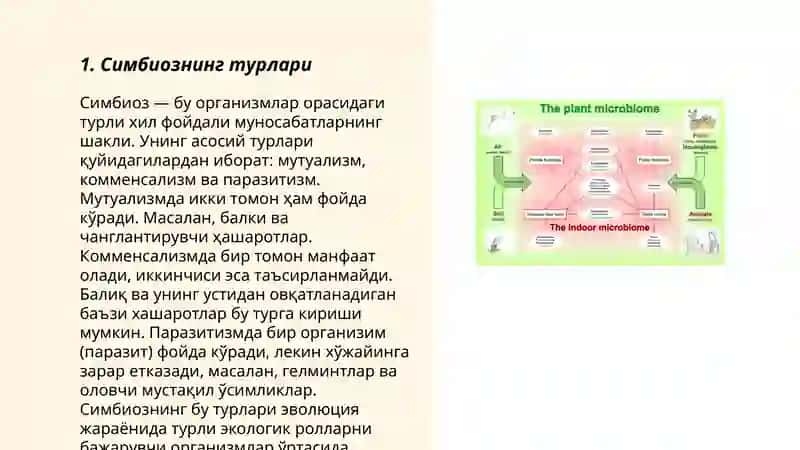 Микроорганизмларни ўсимликлар билан симбиоз муносабатлари 3