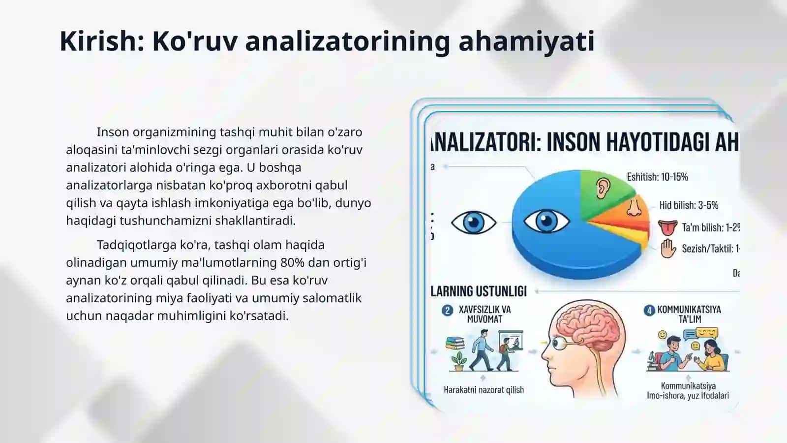 Fibroz parda anatomiyasi. Tomirli parda anatomiyasi 3