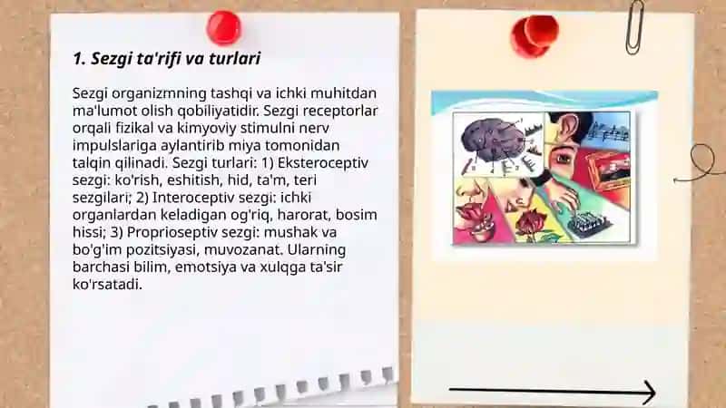 Sezgi haqida 3