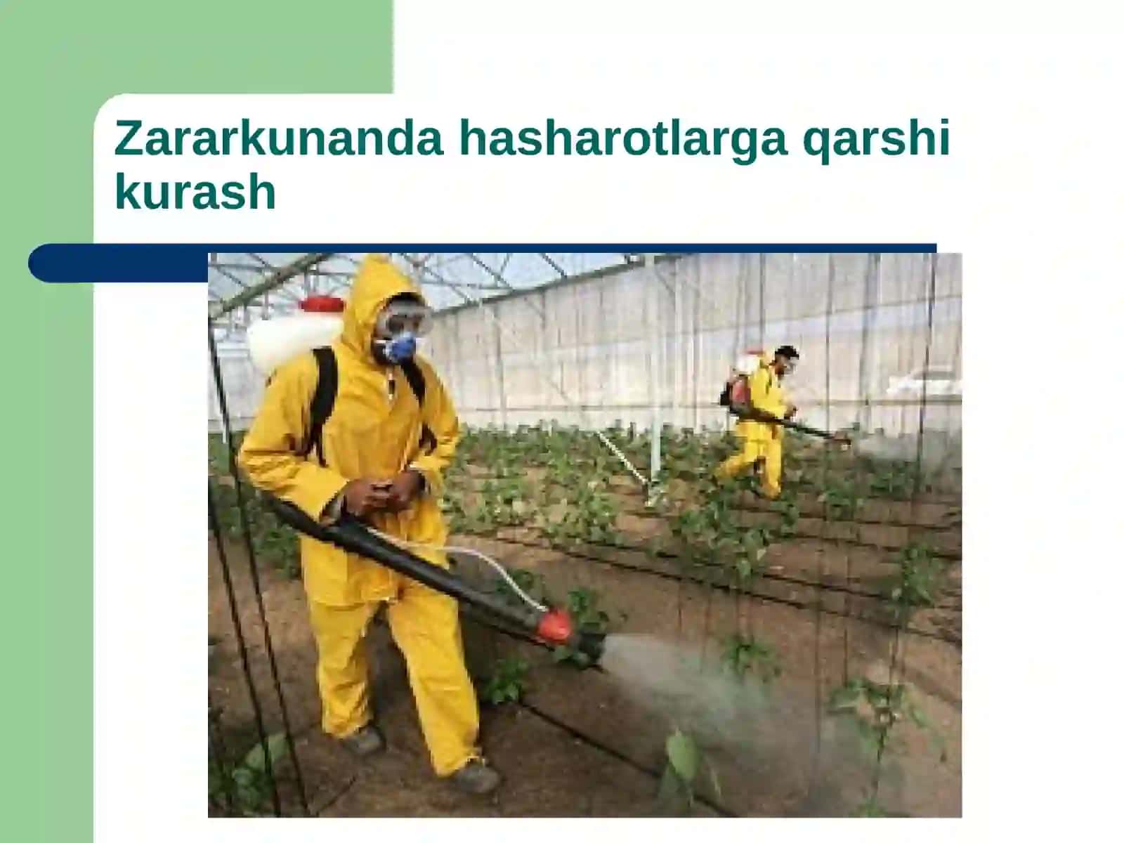Pestitsidlarni qo`llash natijasida kelib chiqadigan oqibatlar 3