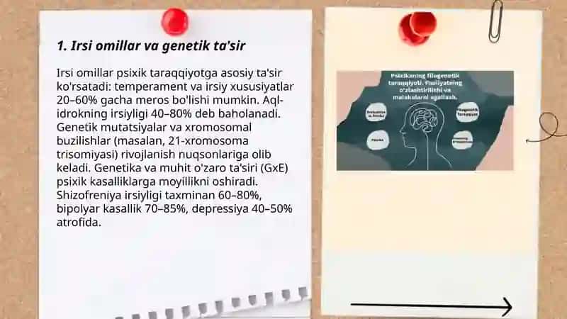 Psixik taraqqiyot shartlari 3