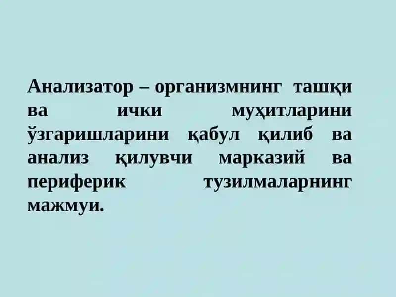Организмнинг сенсорсистемаси 3