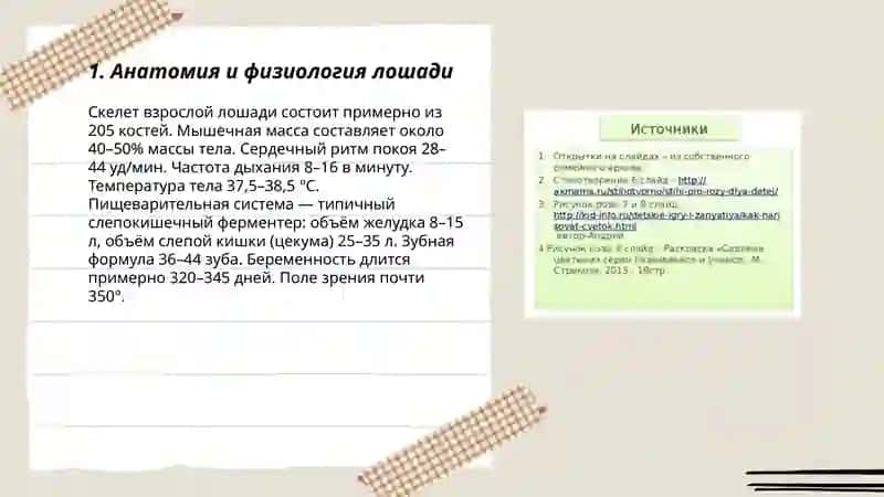 Ot mavzusi bo'yicha slayd kerak 3