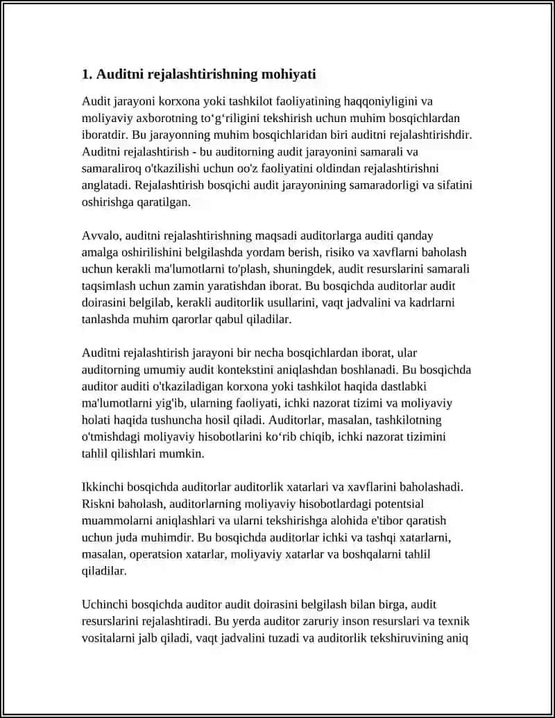 Auditni Rejalashtirishning Asosiy Tamoyillari 3
