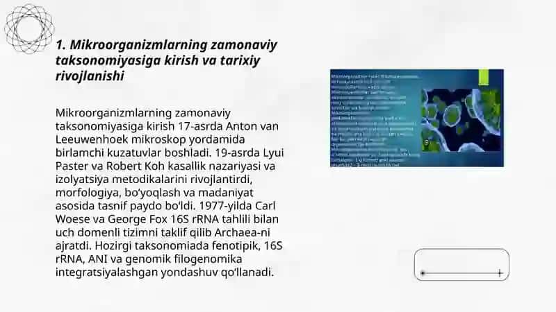 Mikroorganizmlarning zamonaviy sistematikasi 3
