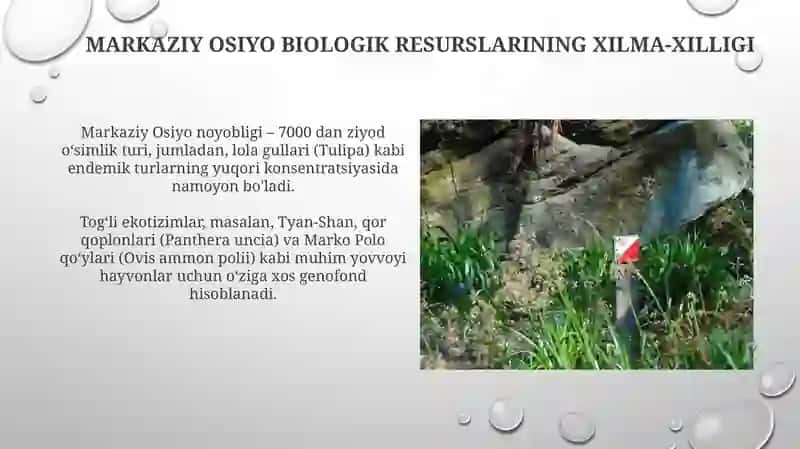 Markaziy Osiyo biologik resurslari 3