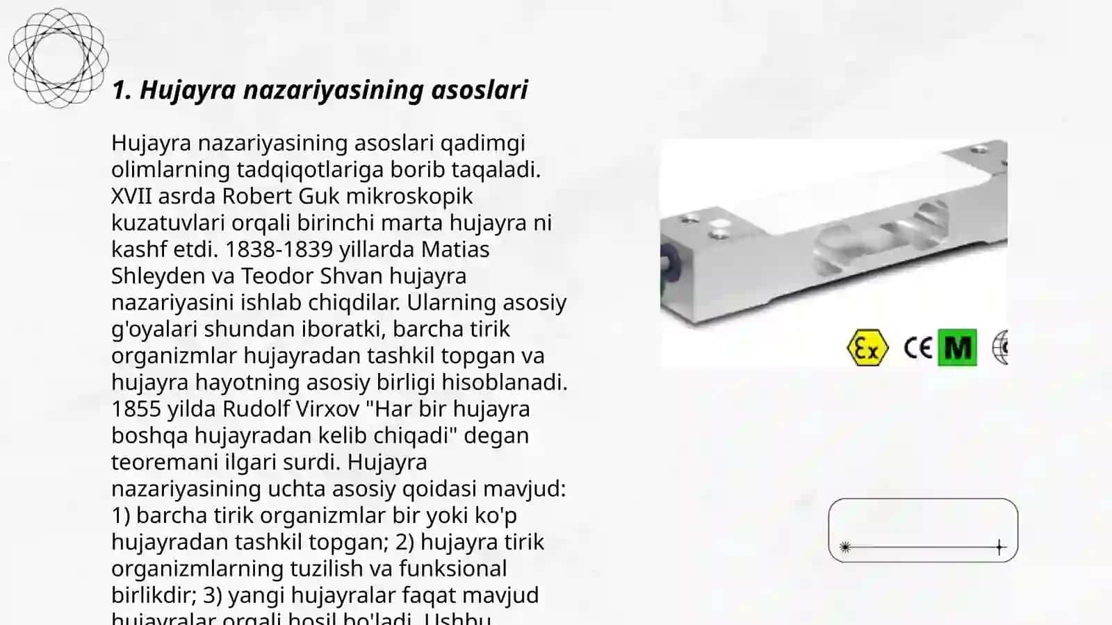 Hujayra nazariyasi, uning shakllari va evolyutsiyasi 3