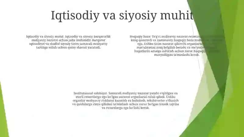Rivojlаngаn Mаmlаkаtlаrdа Moliyaviy Nаzorаtni Tаshkil Etish 3
