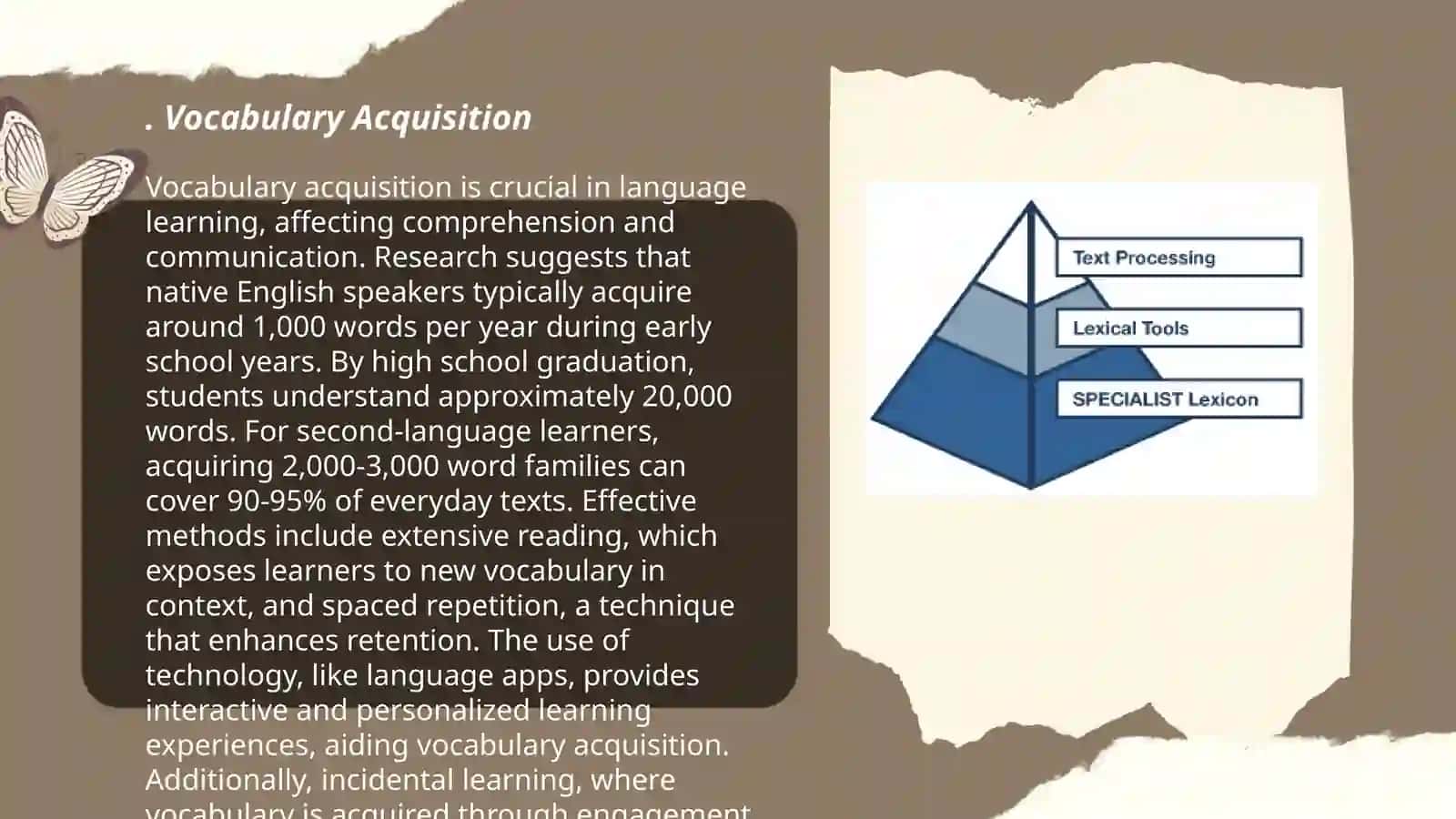 Lexical competence 3