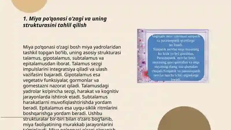 Miya po‘qonasi özaklari va ularning axamiyati 3