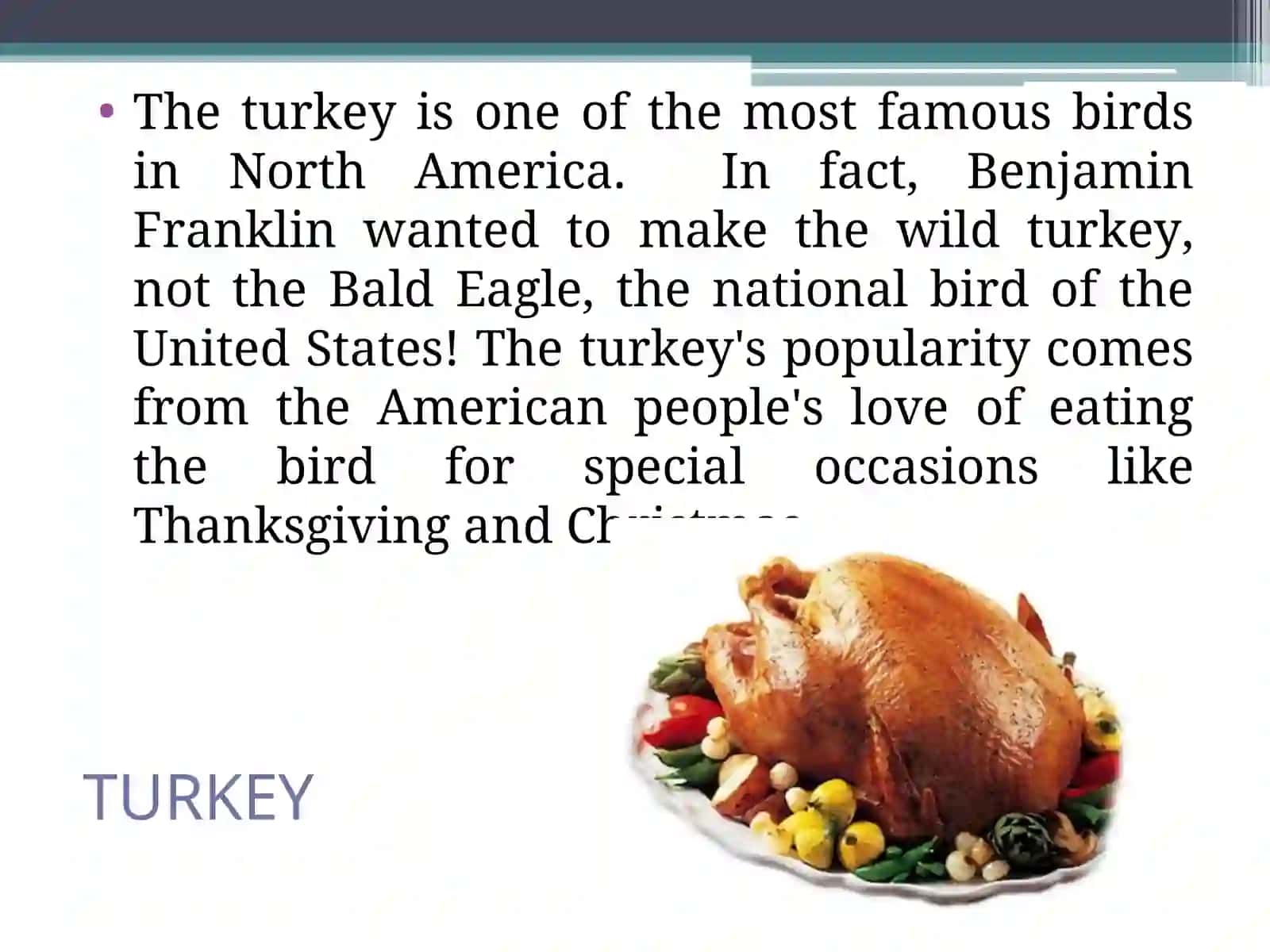 Turkey 3