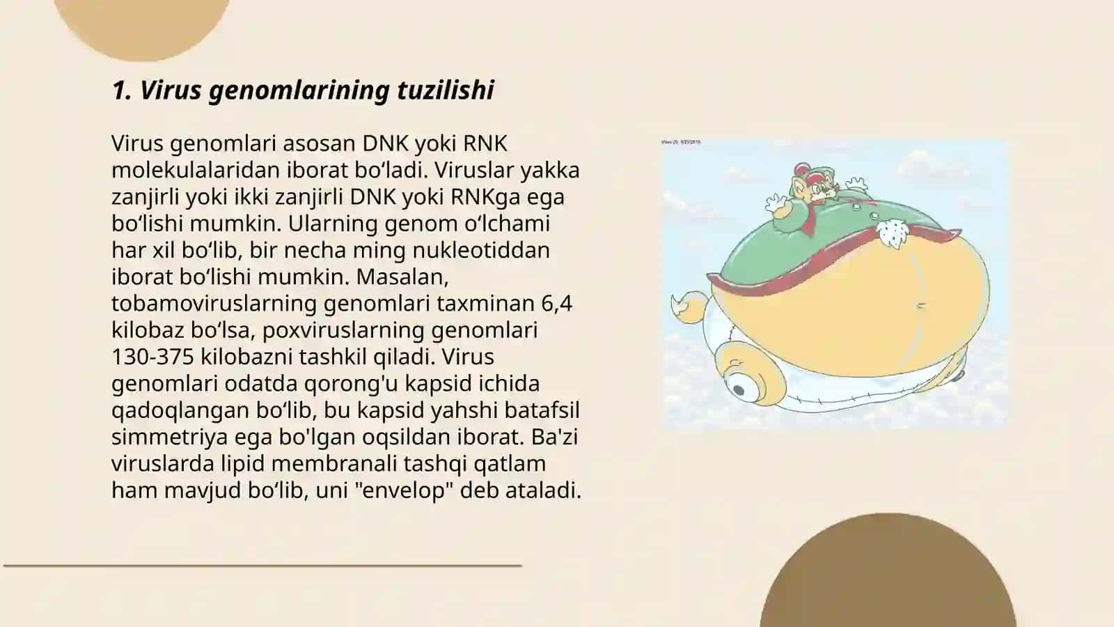Virus genomlarining transkripsiyasi va replikatsiyasi 3