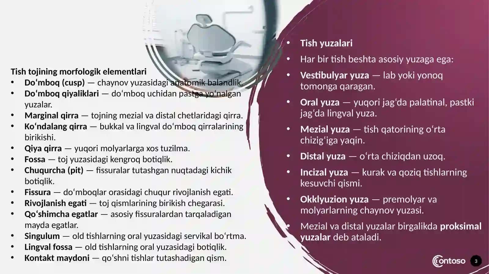 Tishanatomiyasivamorfologiyasi(restovratsiyauchun) 3