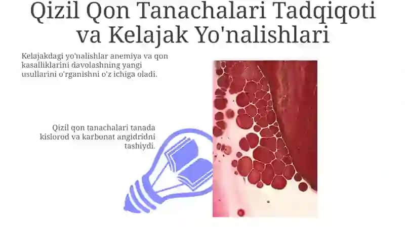 Qizil Qon Tanachalari Tadqiqoti va Kelajak Yo'nalishlari 3