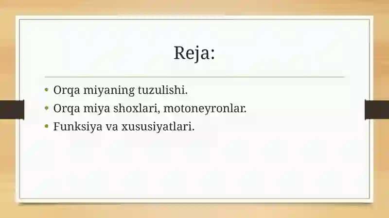 orqa miya harakatlantiruvchi neyronlarining turlari 3
