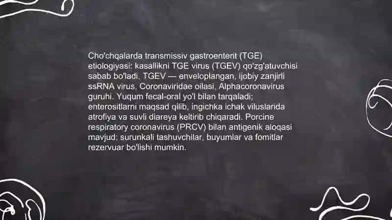 Chuchqalarning ovrupa oilasi Afrika oilasi tishin transmissiv gastrointrit kassalligi 3