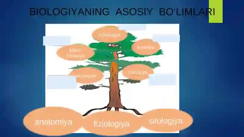 BIOLOGIYA QANDAY BO‘LIMLARGA BO‘LINADI? 3