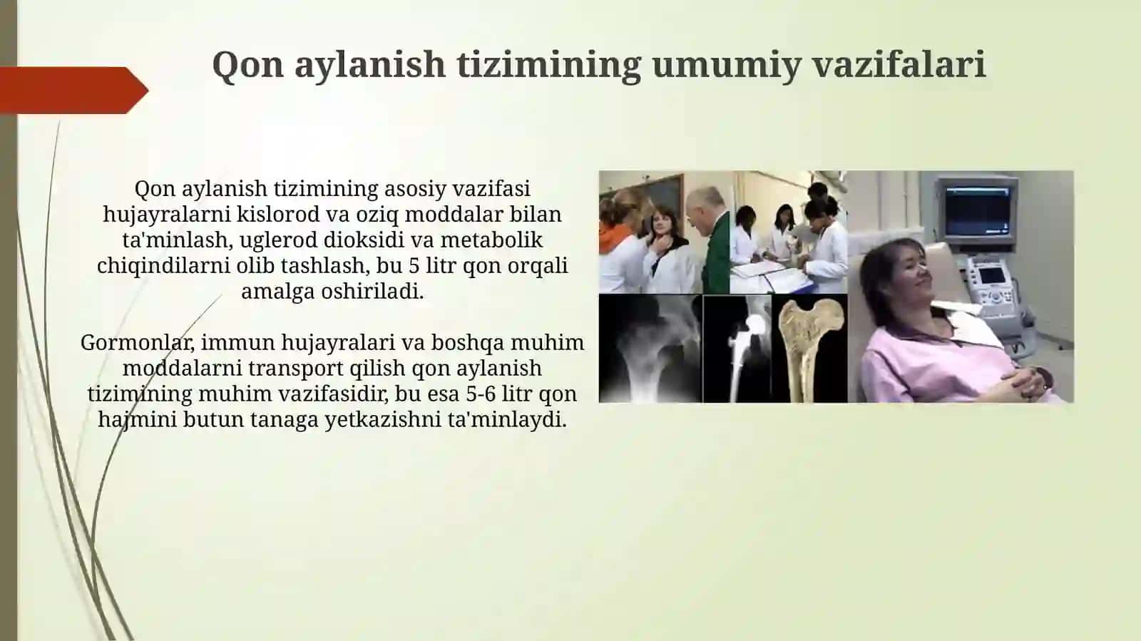 Fizologiya faniga kirish qon aylanish tizimining fizologik asoslari 3