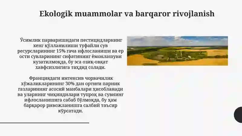 Fransiyada qishloq xoʻjaligi tarmoqlari hududiy rivojlanish xususiyatlari 3
