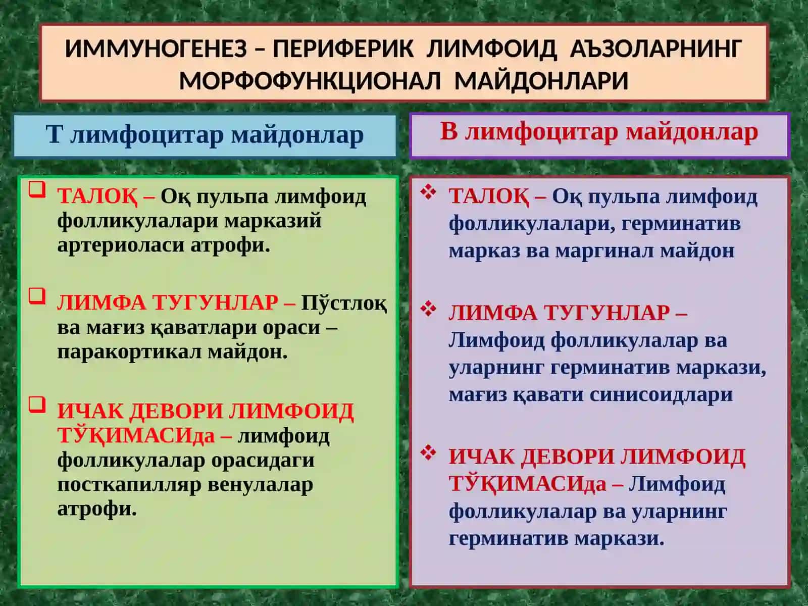 ИММУНОПАТОЛОГИК ЖАРАЁНЛАР. АЛЛЕРГИК ВА АУТОИММУН КАСАЛЛИКЛАР. ИММУН ТАНҚИСЛИГИ 3