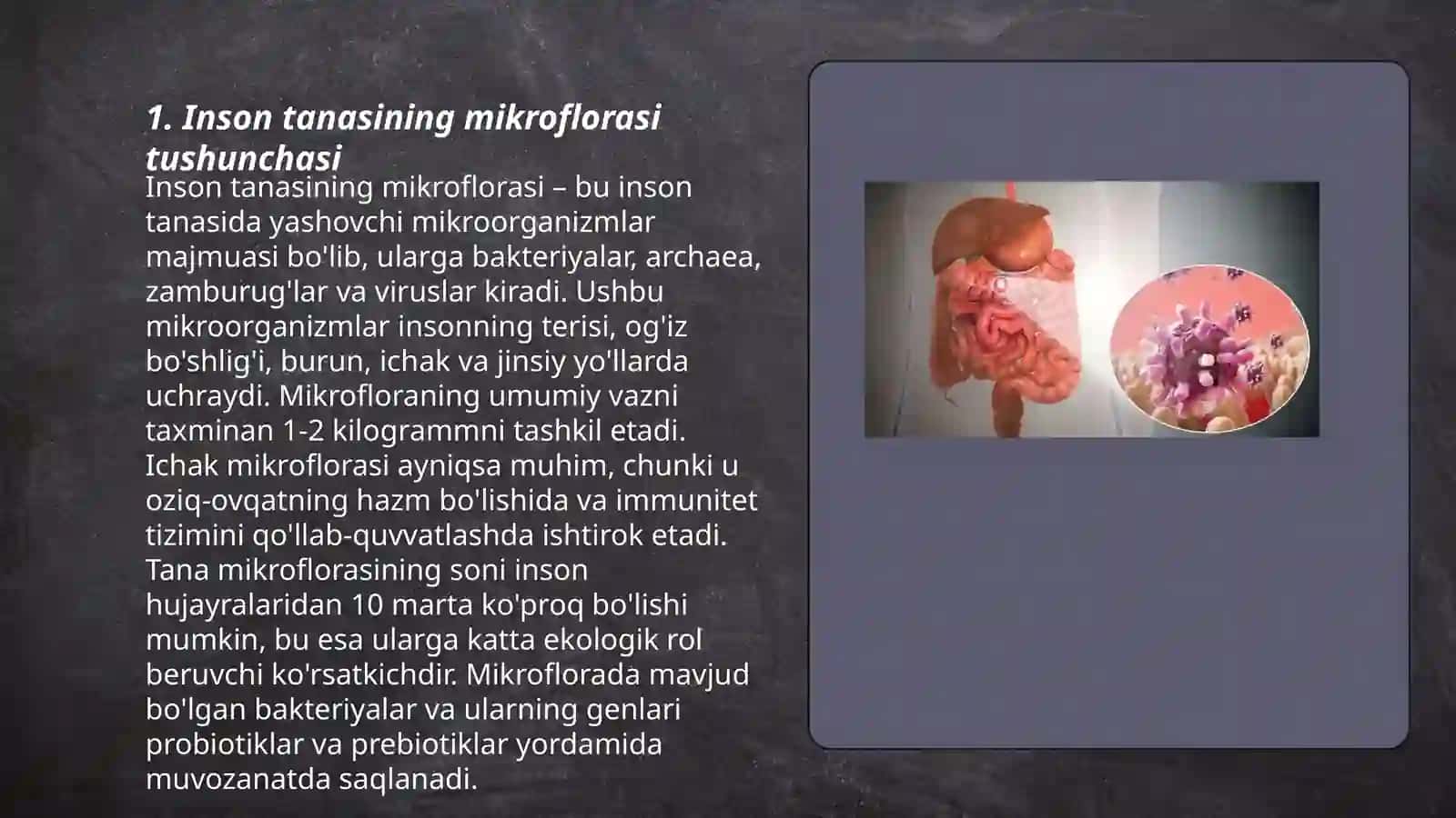 Inson tanasining mikroflorasi va mikroekologiyasi uning ahamiyati va vazifalari. Disbakteriozlar 3