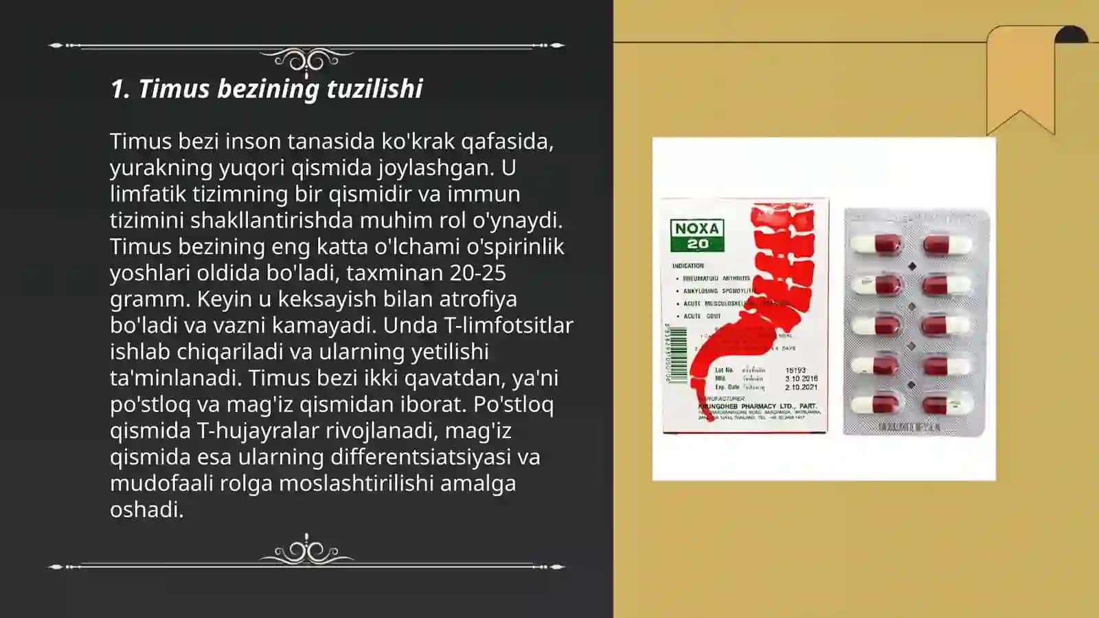 Immun tizimining markaziy organlari 3